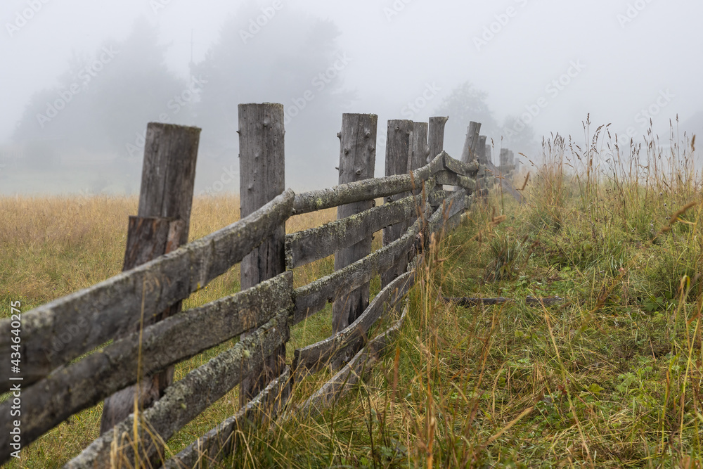 Misty rural landscape. Foggy morning in the countryside. View of the old wooden fence and trees in the fog. Fields and pastures overgrown with grass. Summer in the village. Vologda region, Russia. Misty rural landscape. Foggy morning in the countryside. View of the old wooden fence and trees in the fog. Fields and pastures overgrown with grass. Summer in the village. Vologda region, Russia.