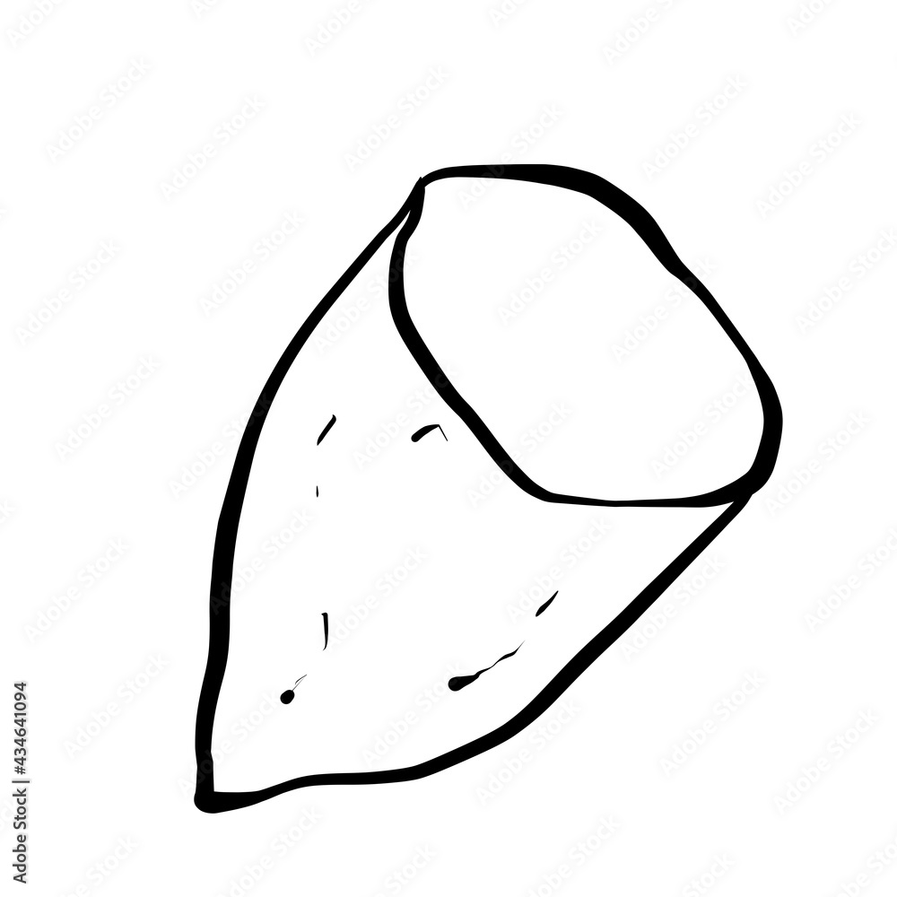 Simple and realistic sweet potato line drawing Stock Illustration