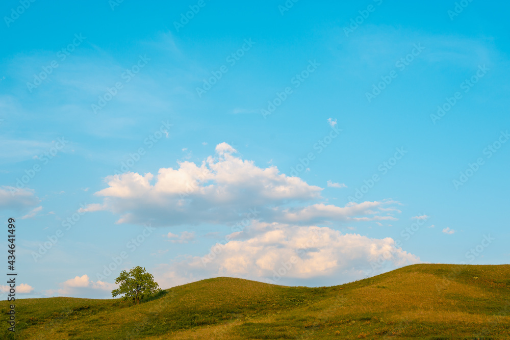 Hills, tree and blue sky with clouds.