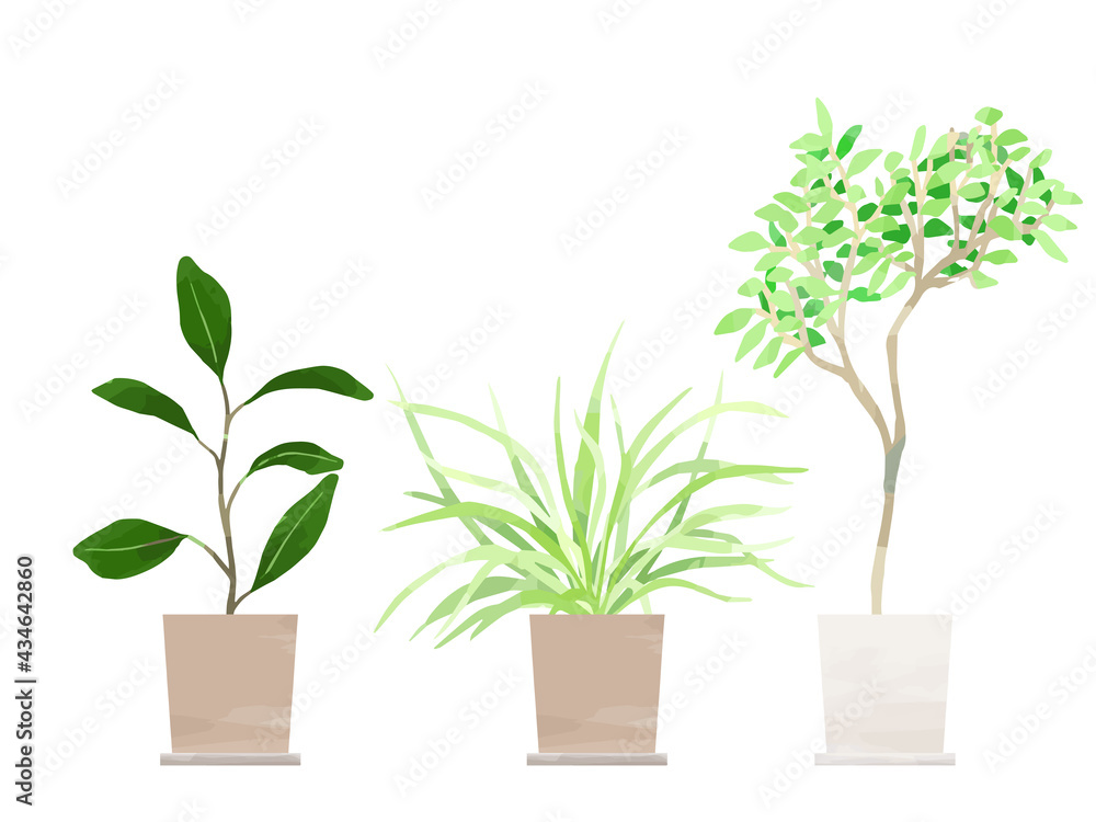 水彩風の観葉植物のイラスト セット Stock Vector Adobe Stock