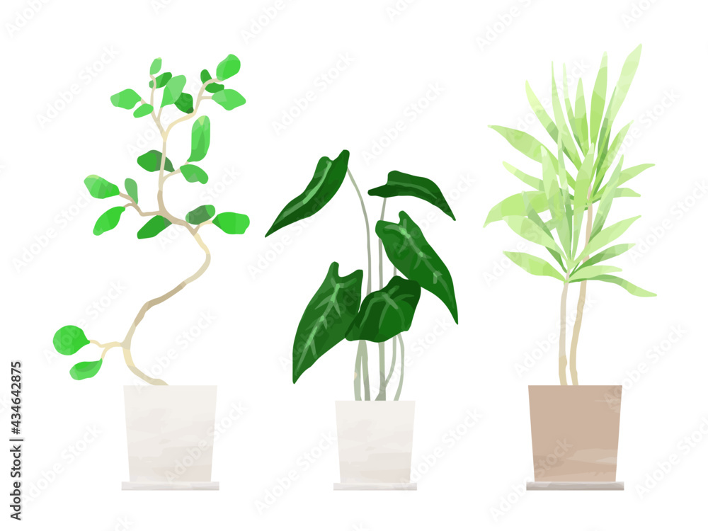 水彩風の観葉植物のイラスト セット Stock Vector Adobe Stock