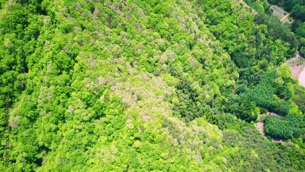 新緑の山並みと富士山空撮 新緑の山並みと富士山空撮