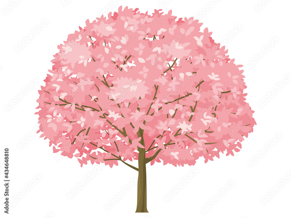 一本の桜の木 桃色の葉 Stock ベクター Adobe Stock