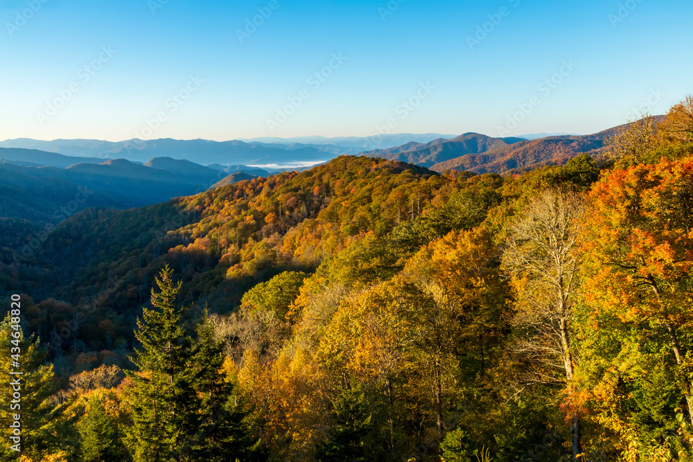 vibrant early morning autumn in the Great Smoky Mountains national park in Tennessee  overlooking the Appalachian and Blue Ridge mountain range.  