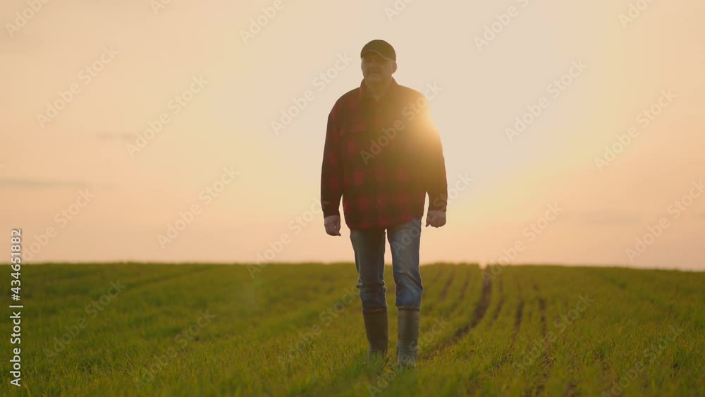 Elderly male tractor farmer at sunset walks across the field in slow motion after day's work Elderly male tractor farmer at sunset walks across the field in slow motion after day's work
