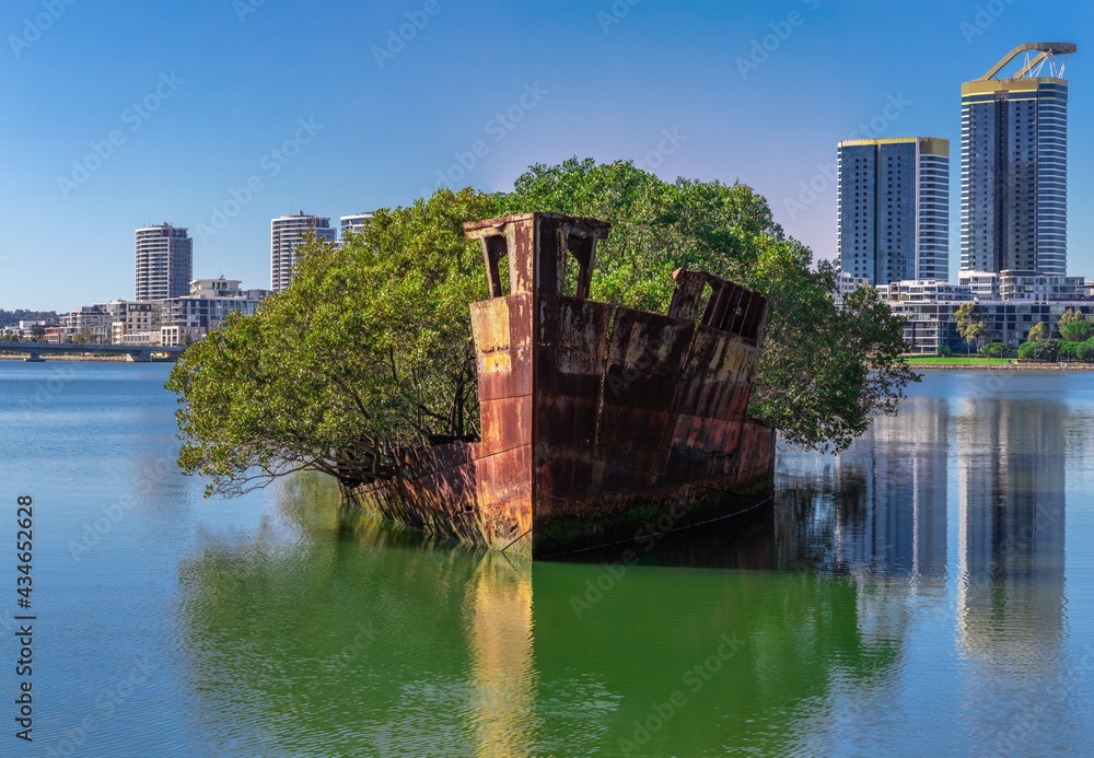 Rusted shipwreck in a mangrove area on Wentworth point Parramatta River NSW Australia 
