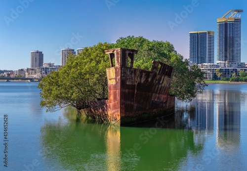 Rusted shipwreck in a mangrove area on Wentworth point Parramatta River NSW Australia  photo