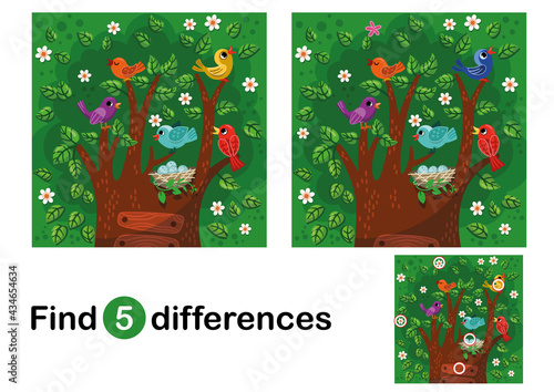 Find 5 differences education game for children. Colorful cartoon birds on the tree. Educational game for kids. Vector illustration.