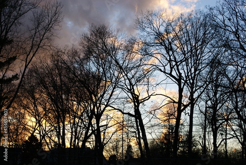 nature 