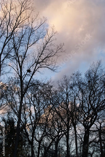 nature 