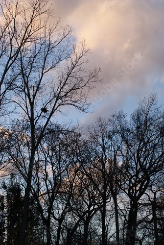 nature 