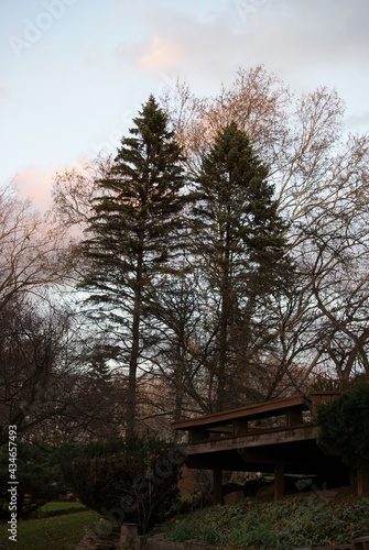 nature 