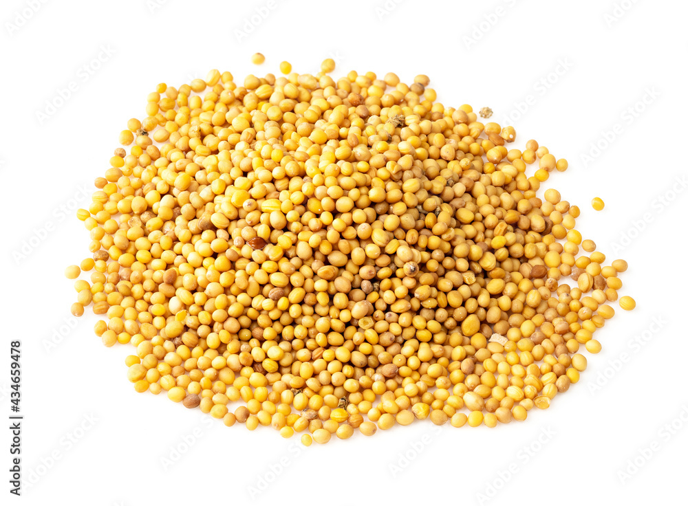 handful of yellow seeds of mustard Brassica Juncea