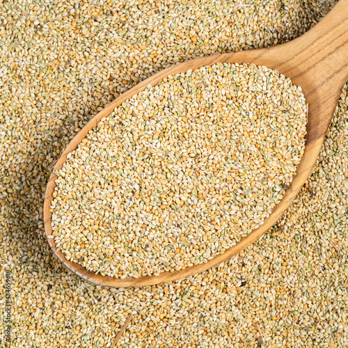 unhulled foxtail millet seeds in wood spoon closeup photo