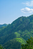 新緑の風景　御岳山　長尾平からの風景