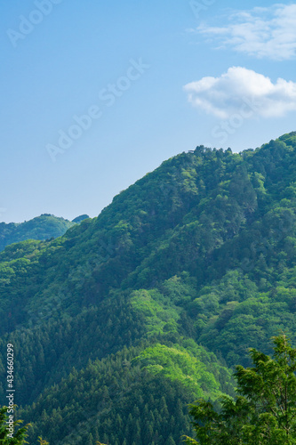 新緑の風景 御岳山 長尾平からの風景