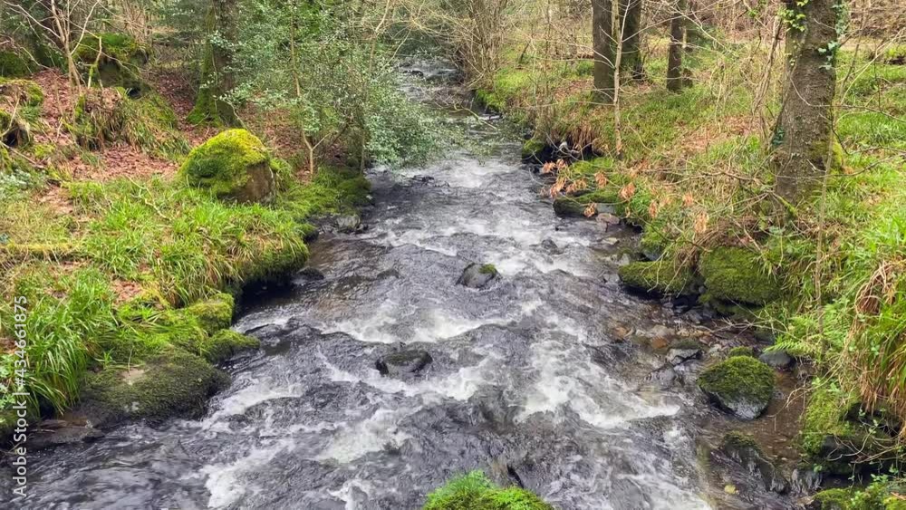 Stream flowing through a forest in Wicklow mountains. Stream flowing through a forest in Wicklow mountains.