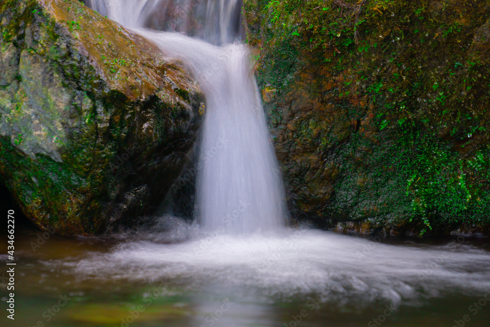 Obraz premium 渓流の流れ 日本の自然