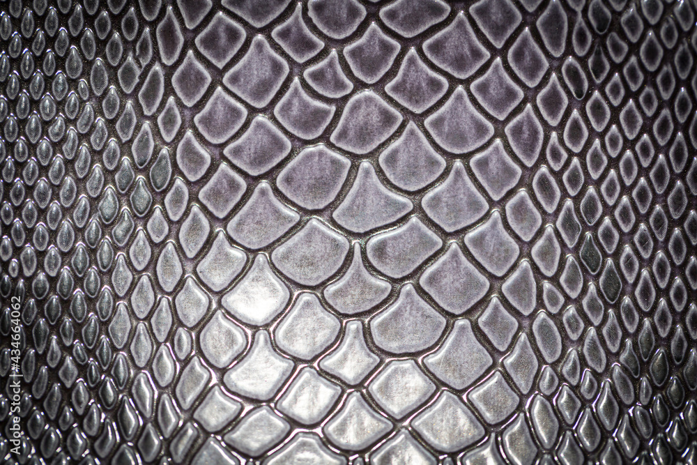 close up of snake skin texture use for background close up of snake skin texture use for background