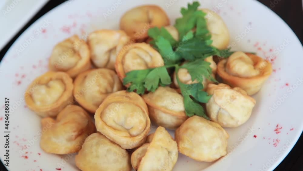 Smooth camera movement, selective focus, fried dumplings with parsley on a white plate. Smooth camera movement, selective focus, fried dumplings with parsley on a white plate.