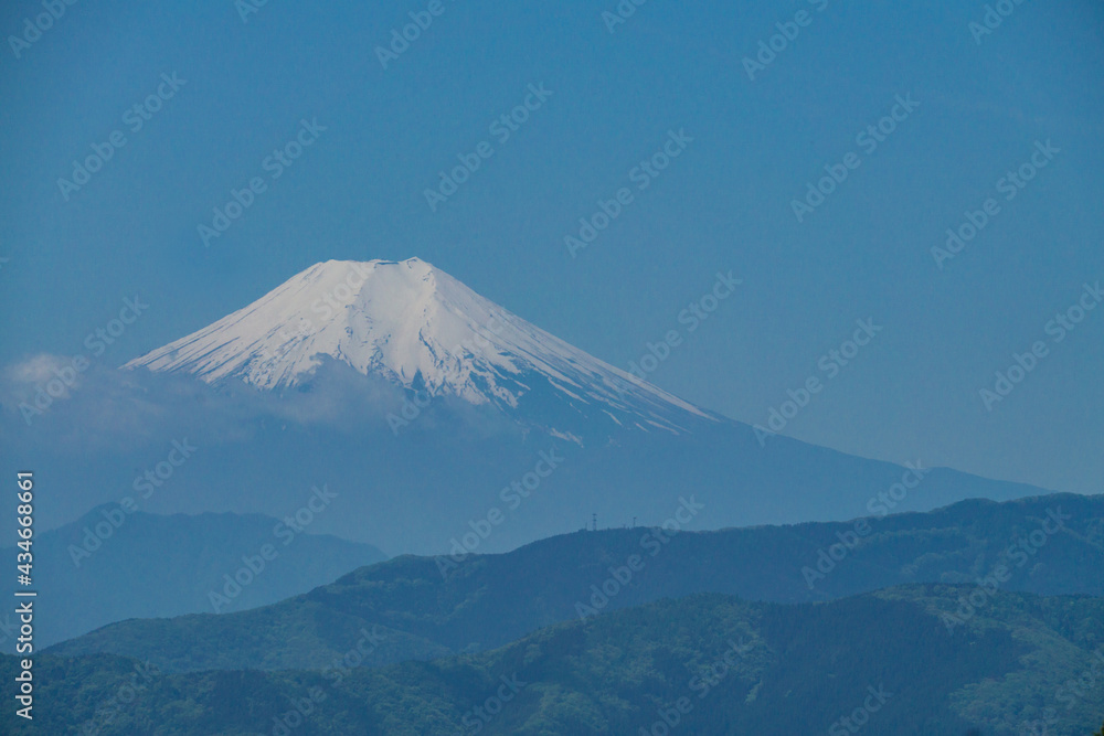 春の富士山を眺める