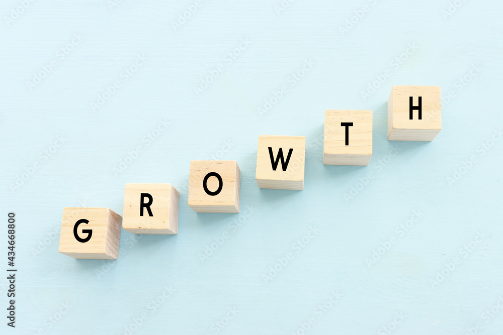 concept of growth success process concept of growth success process