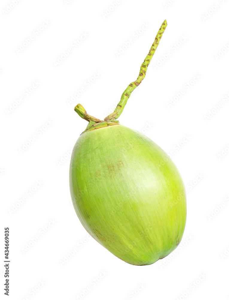 Fresh young coconuts an isolated on a white background Fresh young coconuts an isolated on a white background