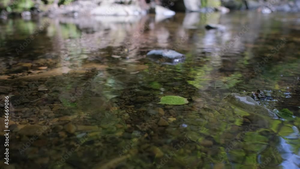 Clear spring water. A fallen autumn leaf slowly floats with the current. Close-up. Slow Motion. Clear spring water. A fallen autumn leaf slowly floats with the current. Close-up. Slow Motion.