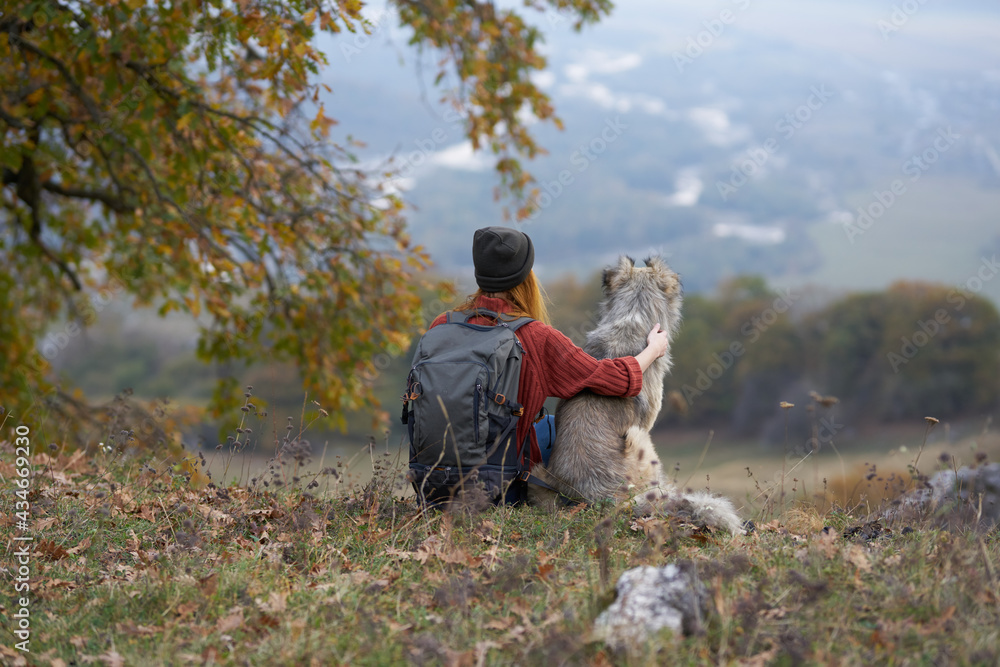 woman hiker next to a dog in the mountains admires the nature landscape woman hiker next to a dog in the mountains admires the nature landscape
