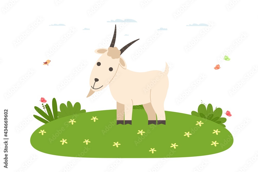 Goat. Domestic and farm animal. Goat is standing on the lawn. Vector illustration in cartoon flat style.