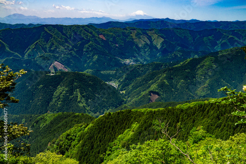 Fototapeta Naklejka Na Ścianę i Meble -  馬頭刈尾根からの眺望　富士山と檜原村