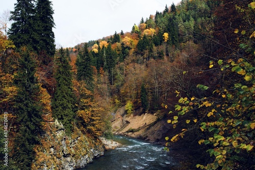 Autumn forest mountains nature river travel landscape