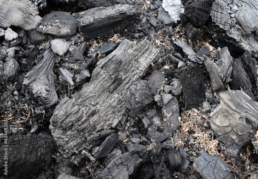 Fototapeta premium firewood in the fire