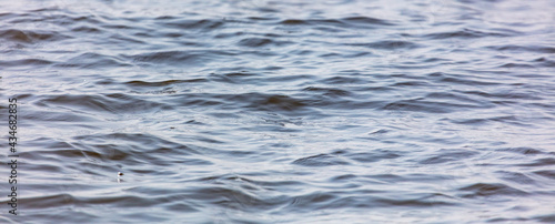 Water surface in the lake as a background.