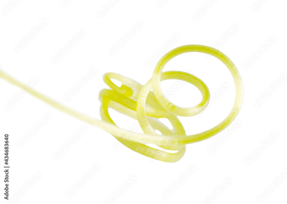 Cucumber tendril isolated on white background. Cucumber tendril isolated on white background.