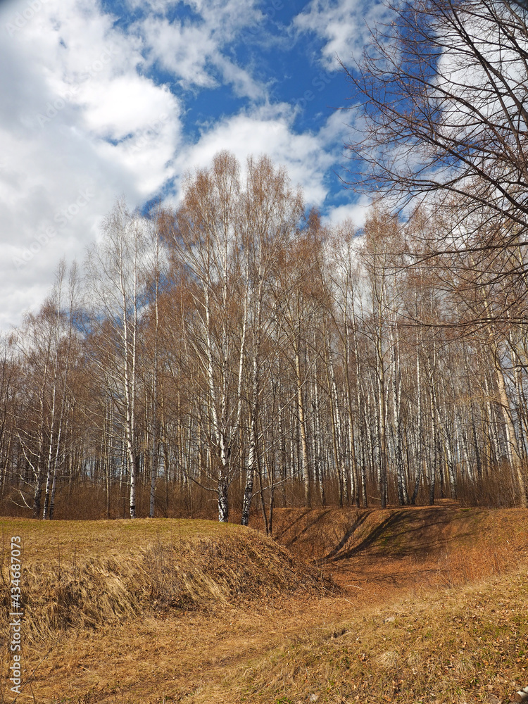 Spring park, the snow has melted, the first grass appears. Perm region, Russia Spring park, the snow has melted, the first grass appears. Perm region, Russia