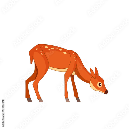 Forest spotted deer in standing pose bending to the ground. Wildlife of forest mammals concept. Cartoon vector Illustration flat style isolated white background