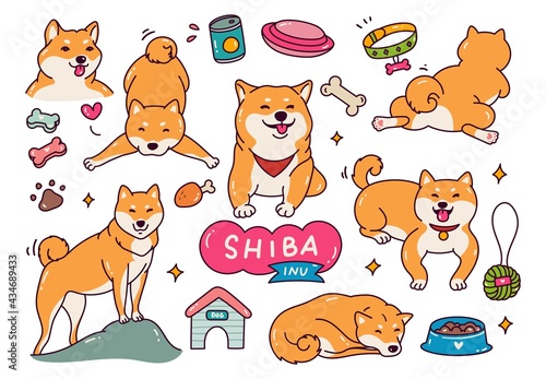 Cute Shiba inu dog in doodle style vector illustration
