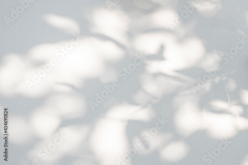 Leaf shadow and light on wall nature blur background  shadow overlay effect foliage mockup