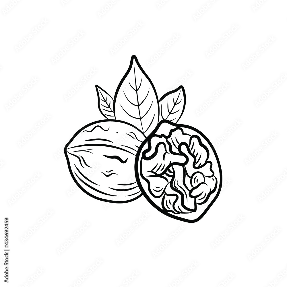 Vector illustration, Walnut with leaves, black and white icon template isolated on white background.
Vector illustration, Walnut with leaves, black and white icon template isolated on white background.