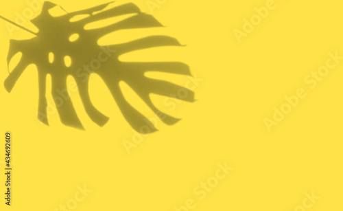 Exotic monstera leaf shadow yellow background template