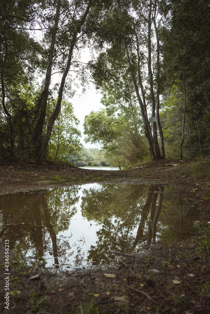 Reflections of a puddle in the middle of the trail in the mountain Reflections of a puddle in the middle of the trail in the mountain