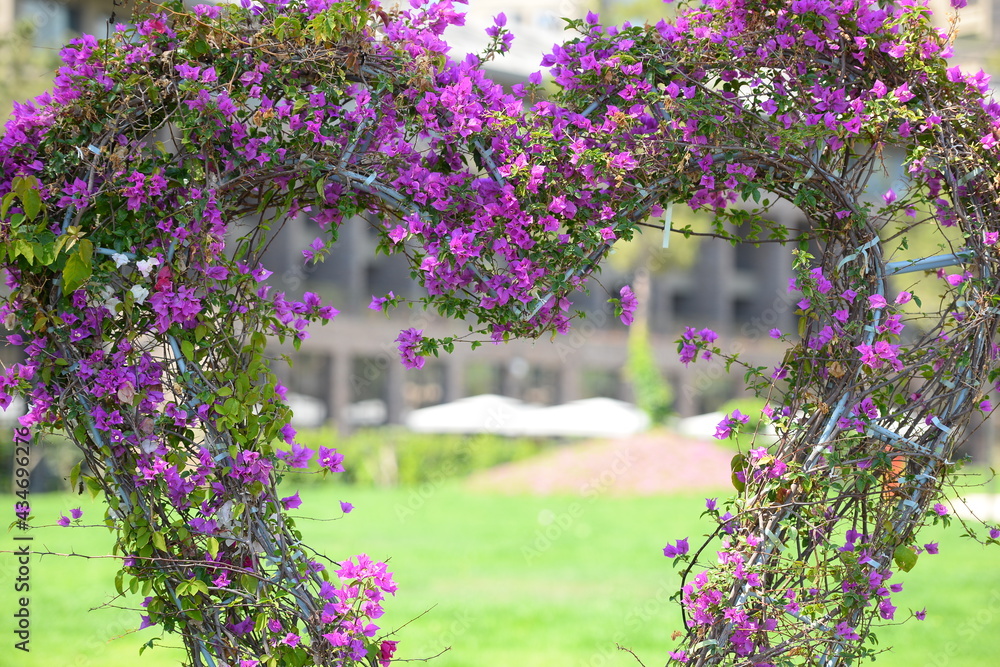 Obraz premium love and garden