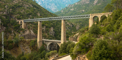 Railroad bridge Pont du Vecchio, designed by architect Gustave Eiffel near Vivaro, Corsica, France.