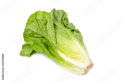 A head of fresh lettuce lies on a white isolated background.