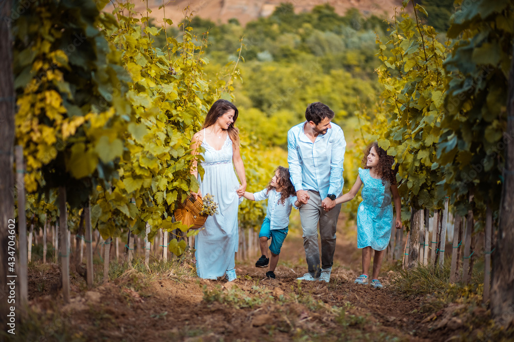 Fototapeta premium Family walking trough vineyard.