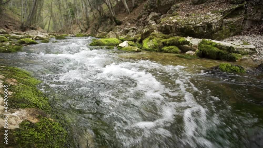 HDR slow motion shot of small mountain forest stream with crystal clear water. River surrounded by green forest and stones overgrown with moss. Natural resources, groundwater, ecology, earth concept HDR slow motion shot of small mountain forest stream with crystal clear water. River surrounded by green forest and stones overgrown with moss. Natural resources, groundwater, ecology, earth concept