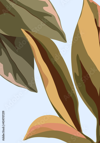 sjablonen voor poster, covers met abstracte natuurlijke en botanische patronen. Veelkleurige grote bladeren groen en roze.