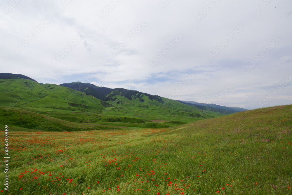 キルギス・Kemin村　春の風景