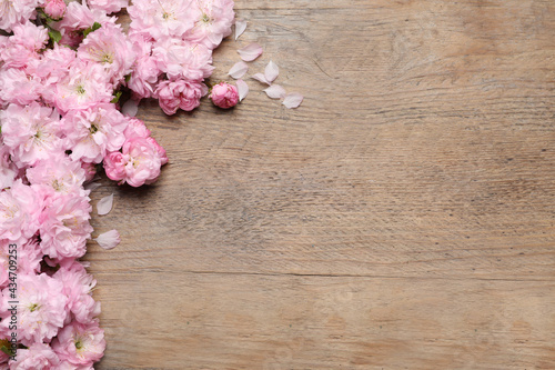 Beautiful sakura tree blossoms on wooden background, flat lay. Space for text